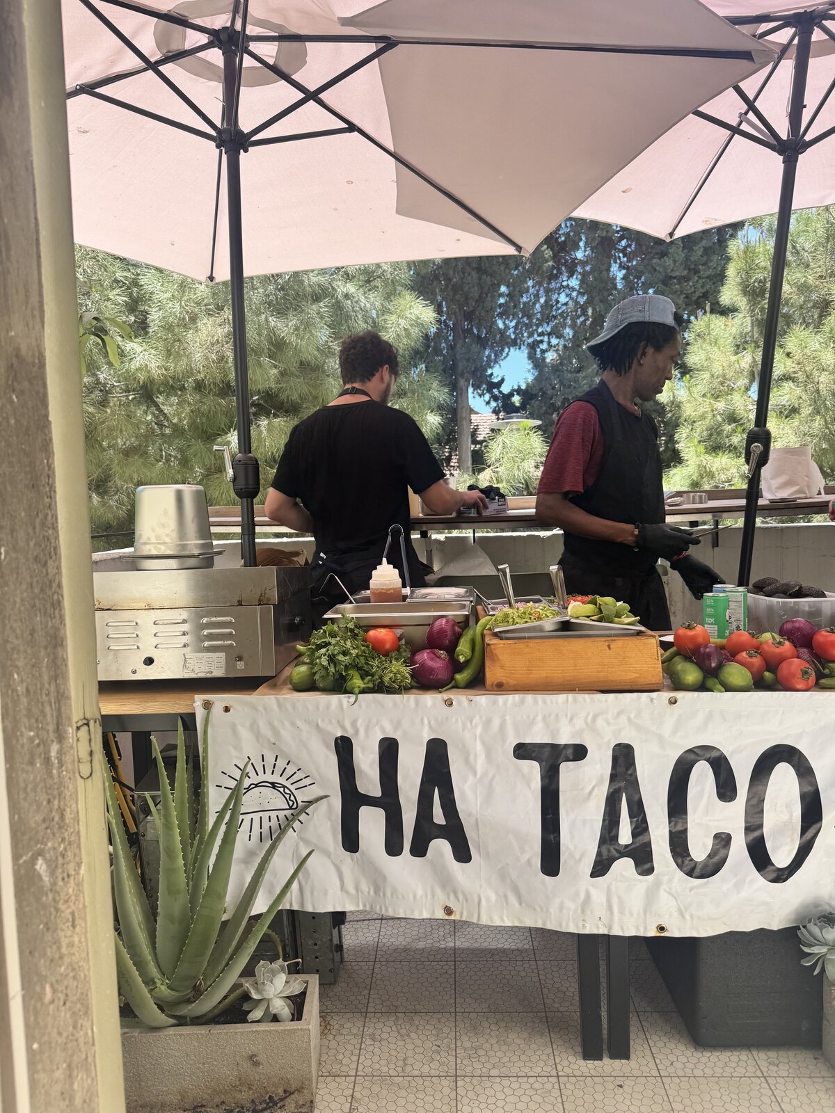 HA TACO station in a garden under parasols with staff and guests